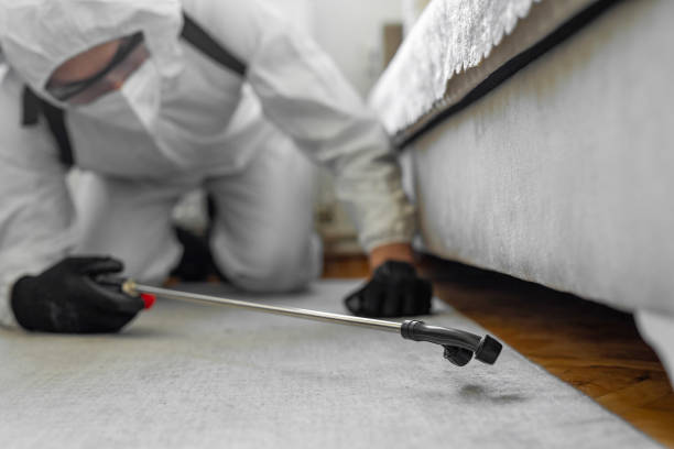Professional Pest Control technician working in Glencoe, IL