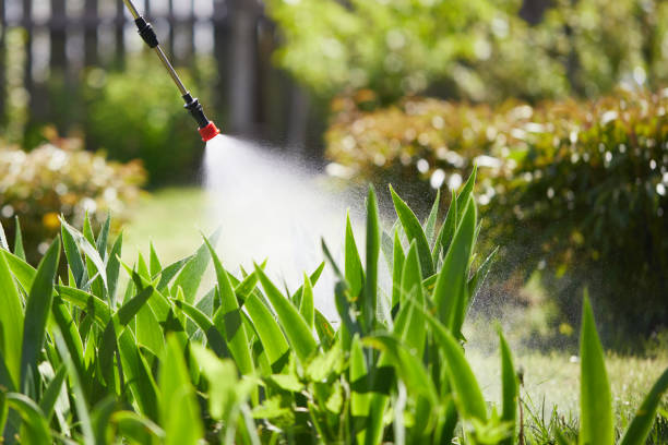24/7 Emergency Pest Control experts in Glencoe, IL