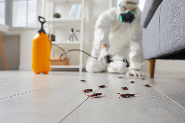 Affordable Pest Control solutions in Glencoe, IL