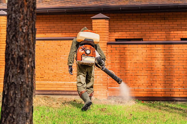 Top rated local Pest Control specialists in Glencoe, IL